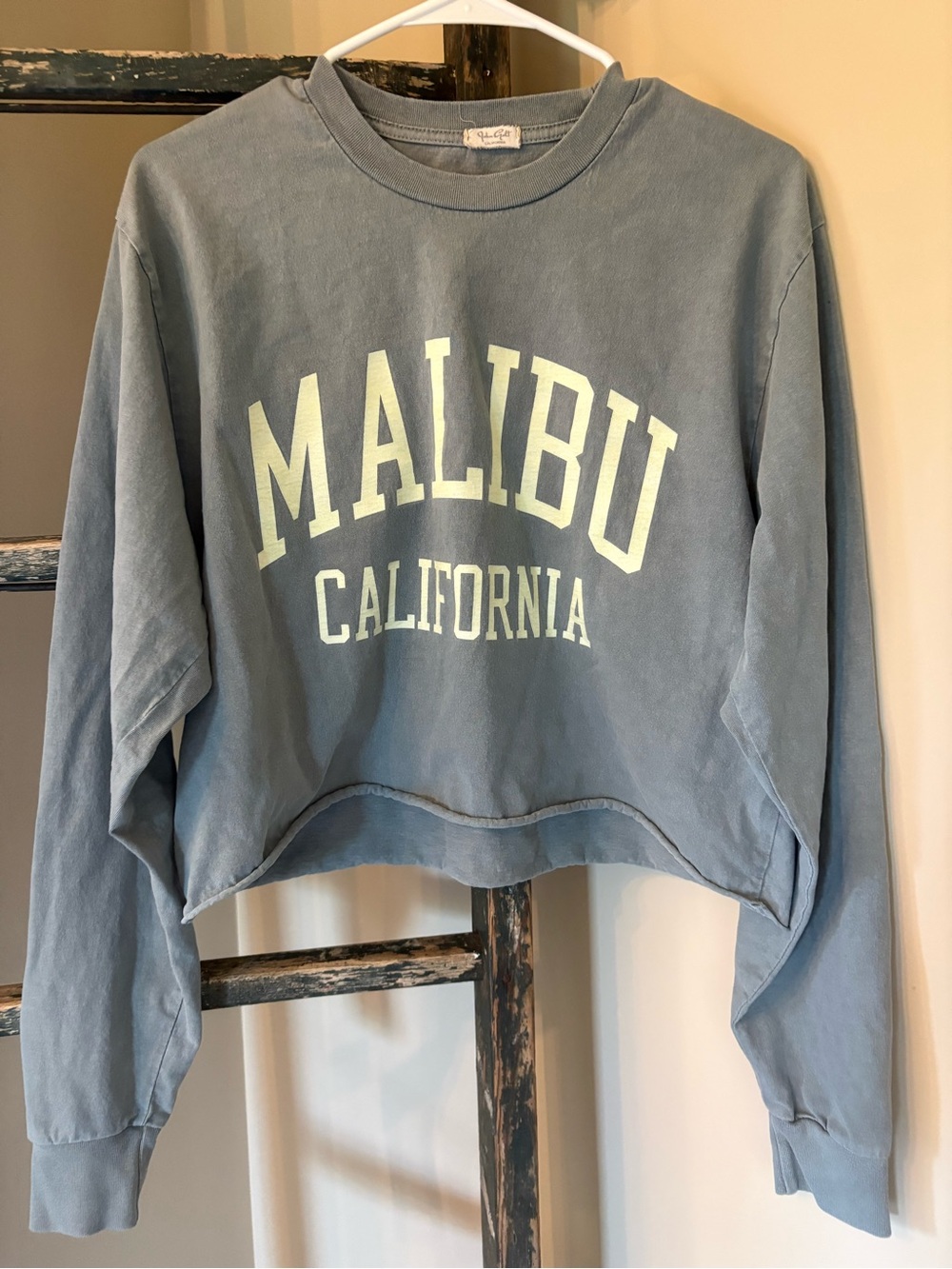 Brandy Melville Dusty Blue Cropped Malibu California Sweatshirt